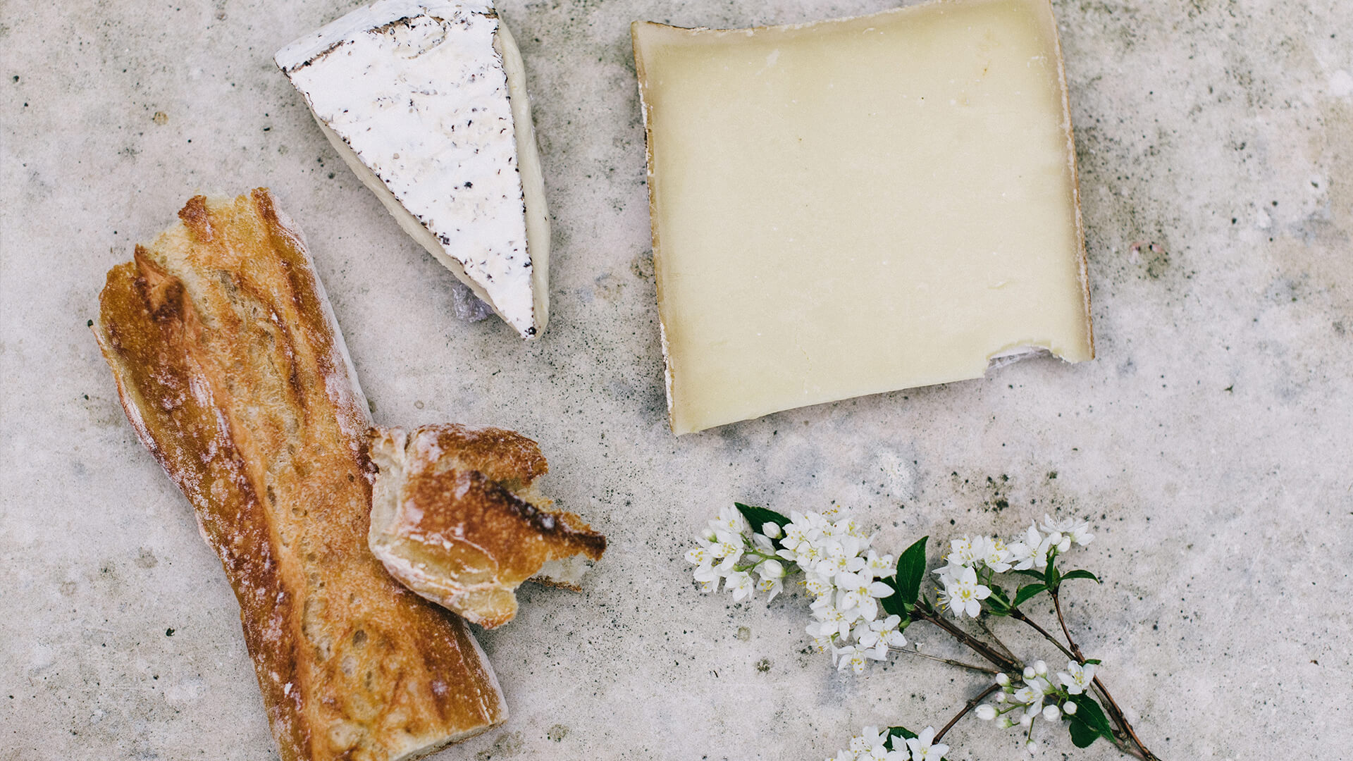 <p><span style="color: #ffffff;">.</span></p>
