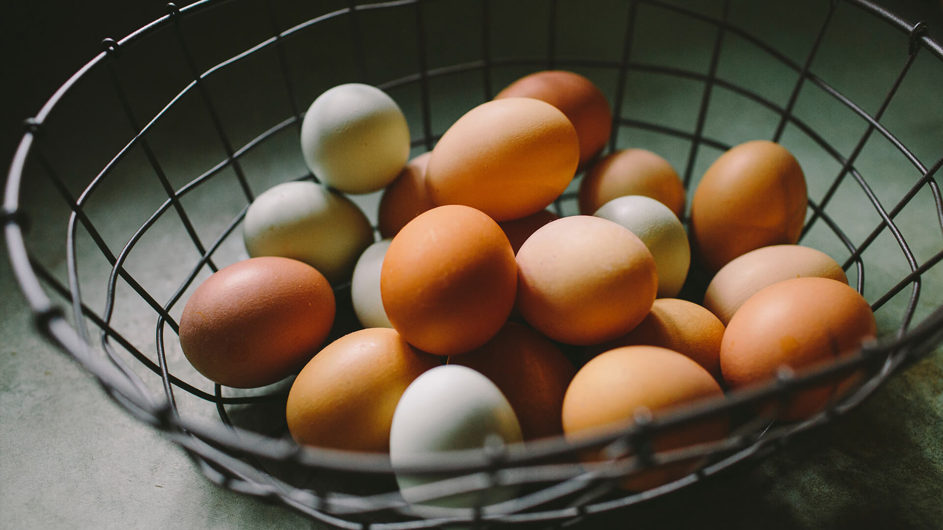 <p><span style="color: #ffffff;">.</span></p>
