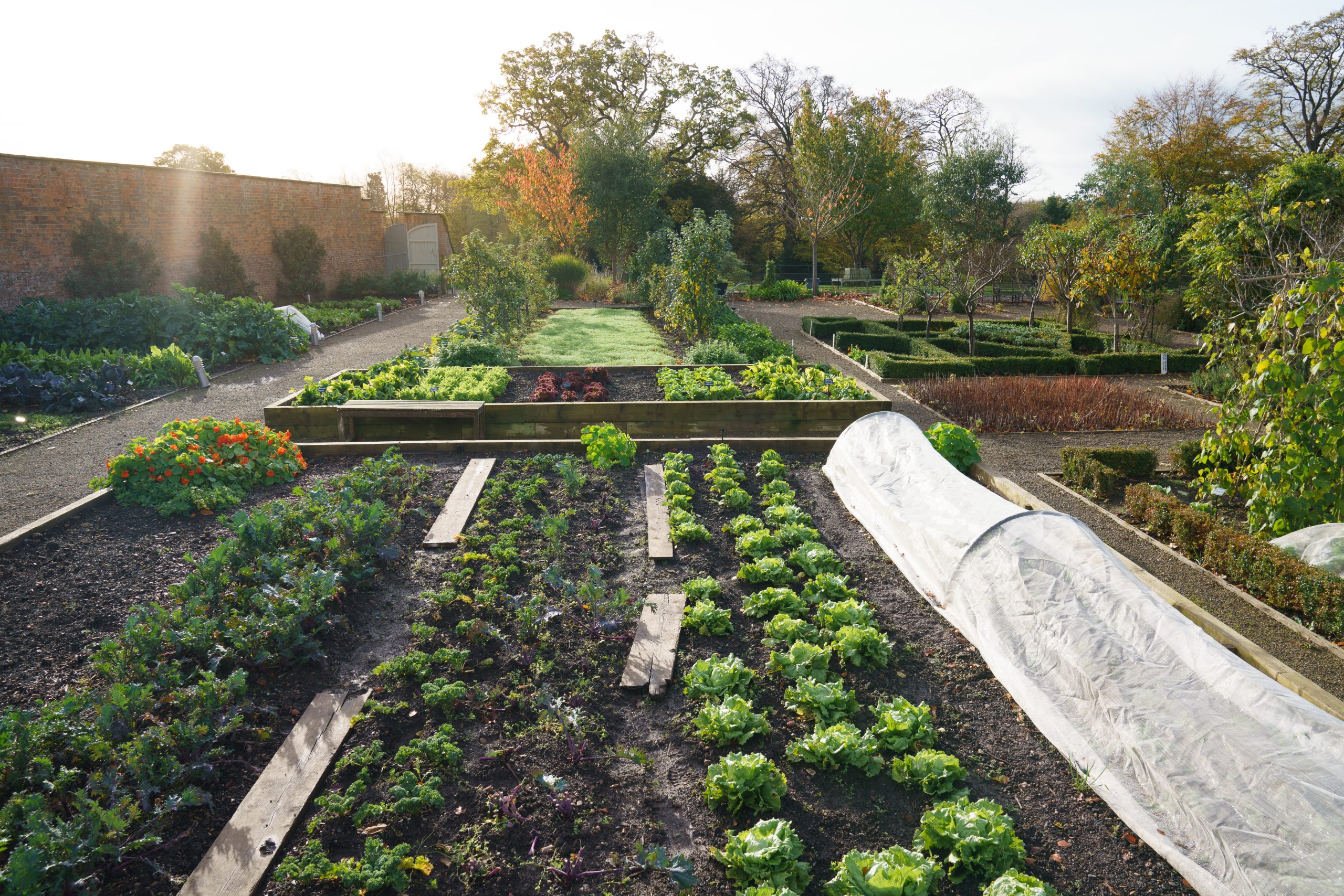 Are you green fingered and have a love for flowers & plants? We need your help! We're looking for volunteers to help maintain our beautiful gardens and landscapes, working alongside our Head Volunteer. 